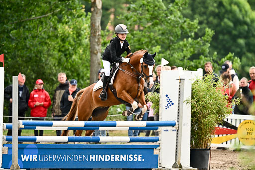 Goldene Schärpe Ponys in Löningen 2026 | 07062025 Springen 1Abt _362 