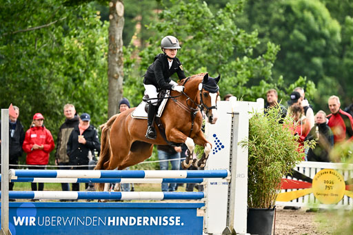Goldene Schärpe Ponys in Löningen 2026 | 07062025 Springen 1Abt _363 