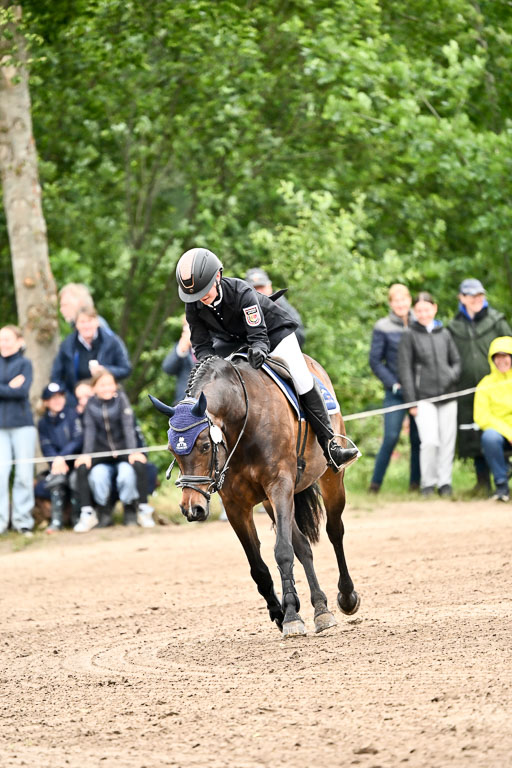Goldene Schärpe Ponys in Löningen 2026 | 07062025 Springen 1Abt _393 