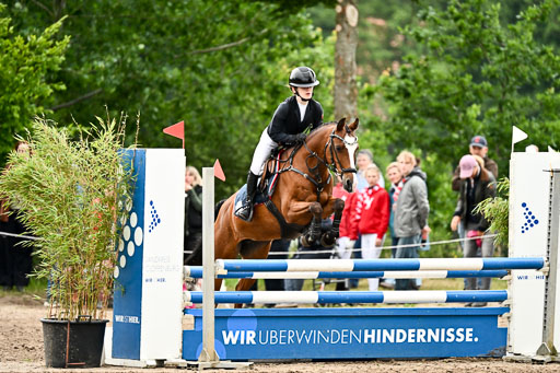 Goldene Schärpe Ponys in Löningen 2026 | 07062025 Springen 1Abt _529 
