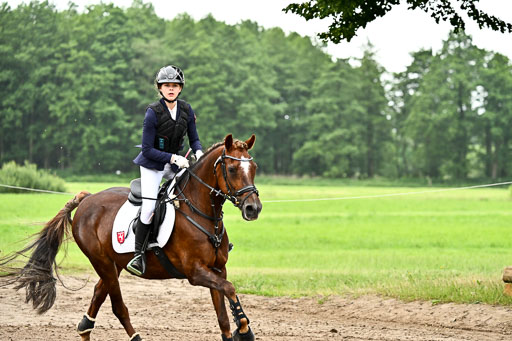 Goldene Schärpe Ponys in Löningen 2026 | 07062025 Springen 1Abt _551 