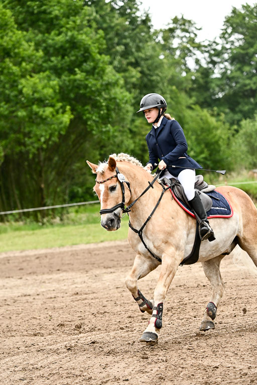 Goldene Schärpe Ponys in Löningen 2026 | 07062025 Springen 1Abt _552 