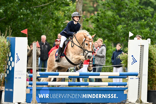 Goldene Schärpe Ponys in Löningen 2026 | 07062025 Springen 1Abt _554 