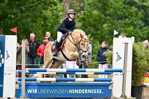 Goldene Schärpe Ponys in Löningen 2026 | 07062025 Springen 1Abt _555 