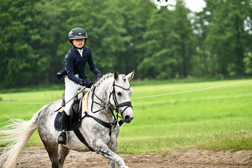 Goldene Schärpe Ponys in Löningen 2026 | 07062025 Springen 1Abt _574 