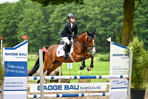 Goldene Schärpe Ponys in Löningen 2026 | 07062026 Springen 2Abt_016 