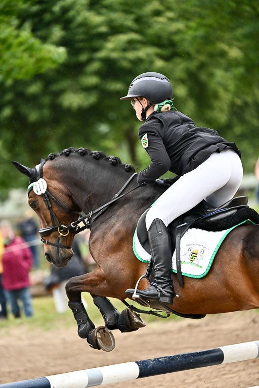 Goldene Schärpe Ponys in Löningen 2026 | 07062026 Springen 2Abt_087 