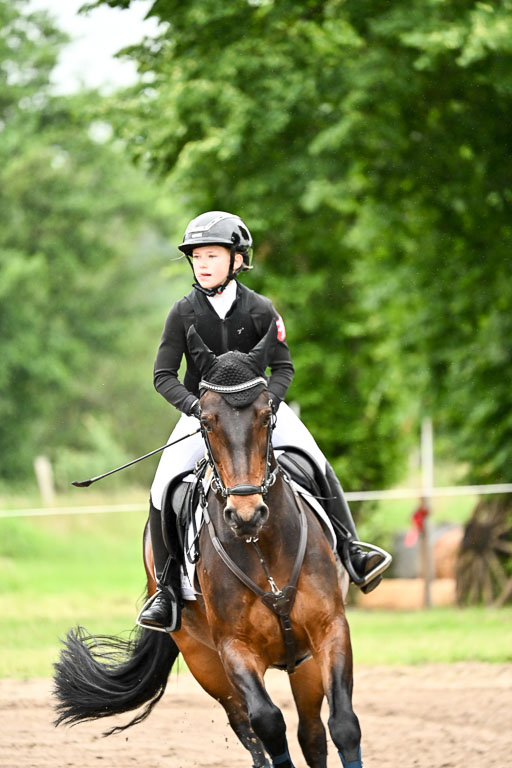 Goldene Schärpe Ponys in Löningen 2026 | 07062026 Springen 2Abt_110 