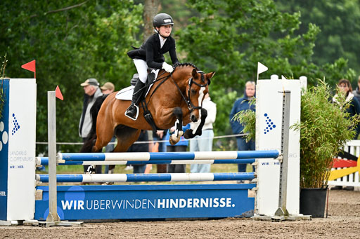 Goldene Schärpe Ponys in Löningen 2026 | 07062026 Springen 2Abt_153 