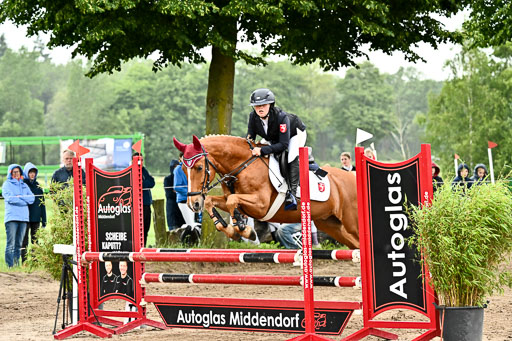 Goldene Schärpe Ponys in Löningen 2026 | 07062026 Springen 2Abt_185 