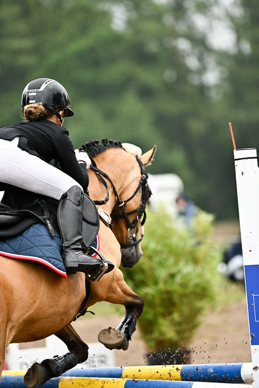 Goldene Schärpe Ponys in Löningen 2026 | 07062026 Springen 2Abt_193 