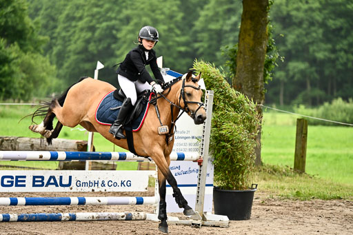 Goldene Schärpe Ponys in Löningen 2026 | 07062026 Springen 2Abt_200 