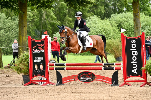Goldene Schärpe Ponys in Löningen 2026 | 07062026 Springen 2Abt_217 