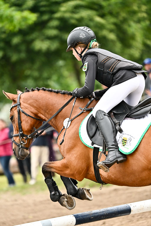 Goldene Schärpe Ponys in Löningen 2026 | 07062026 Springen 2Abt_232 