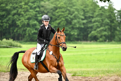 Goldene Schärpe Ponys in Löningen 2026 | 07062026 Springen 2Abt_242 