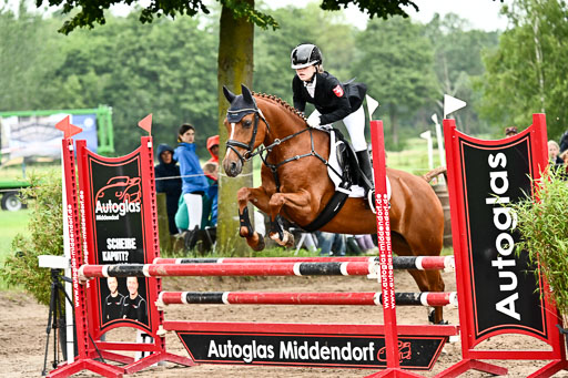 Goldene Schärpe Ponys in Löningen 2026 | 07062026 Springen 2Abt_257 