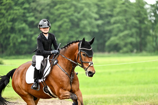 Goldene Schärpe Ponys in Löningen 2026 | 07062026 Springen 2Abt_280 