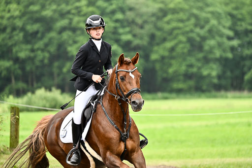 Goldene Schärpe Ponys in Löningen 2026 | 07062026 Springen 2Abt_292 