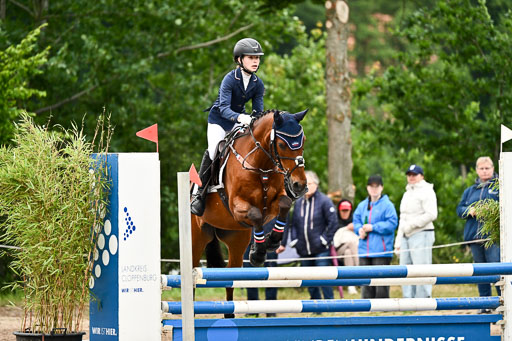 Goldene Schärpe Ponys in Löningen 2026 | 07062026 Springen 2Abt_294 