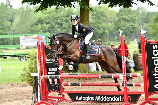 Goldene Schärpe Ponys in Löningen 2026 | 07062026 Springen 2Abt_350 