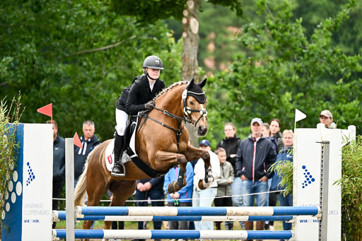 Goldene Schärpe Ponys in Löningen 2026 | 07062026 Springen 2Abt_353 