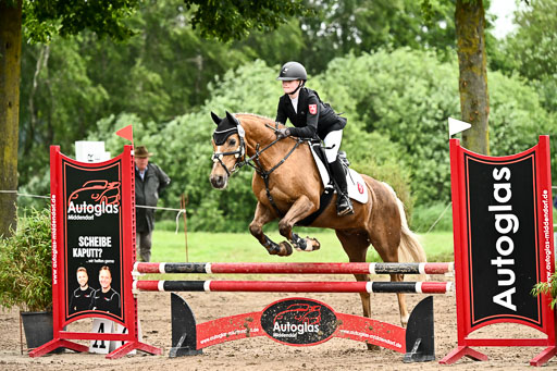 Goldene Schärpe Ponys in Löningen 2026 | 07062026 Springen 2Abt_356 