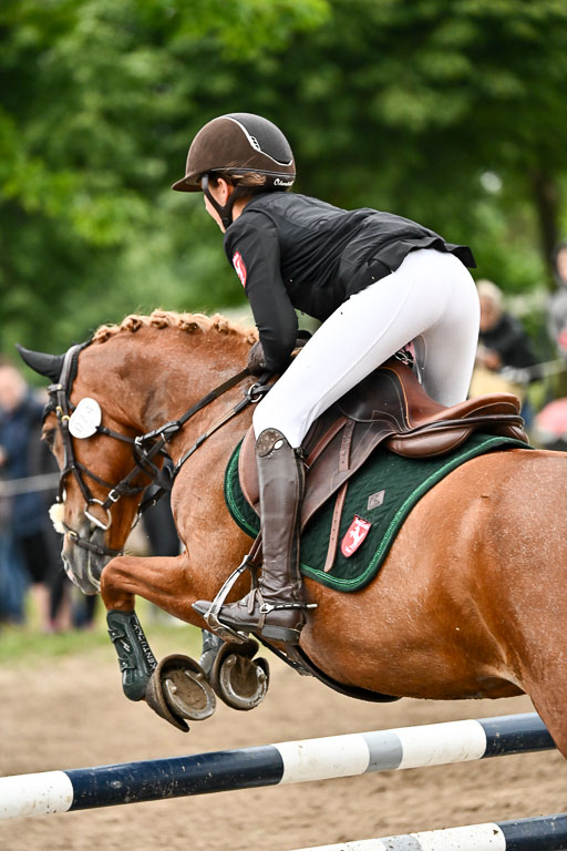 Goldene Schärpe Ponys in Löningen 2026 | 07062026 Springen 2Abt_464 