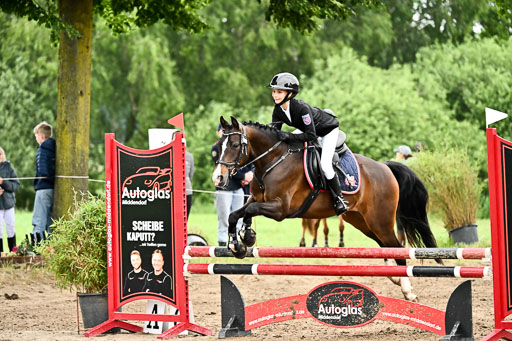 Goldene Schärpe Ponys in Löningen 2026 | 07062026 Springen 2Abt_476 