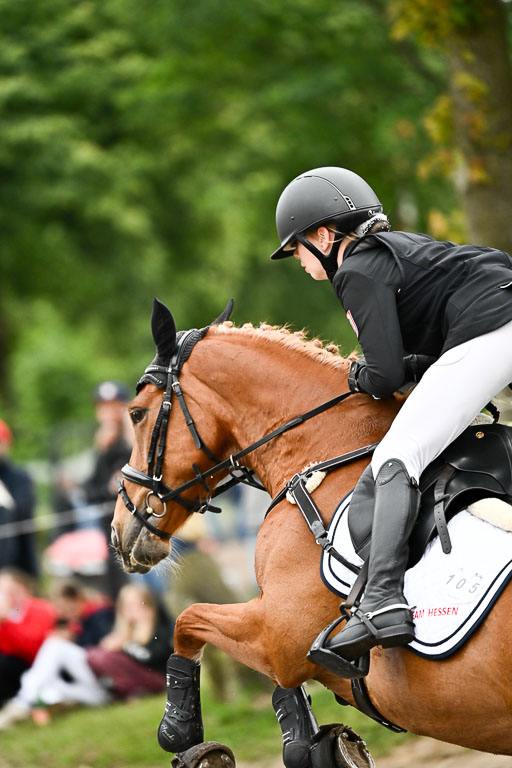Goldene Schärpe Ponys in Löningen 2026 | 07062026 Springen 2Abt_483 