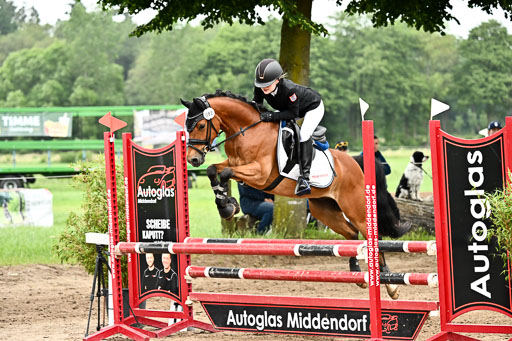Springen 2 Abt