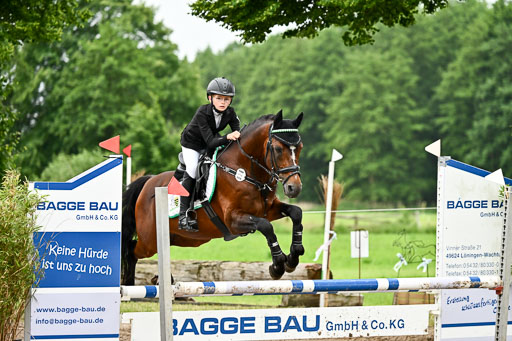 Goldene Schärpe Ponys in Löningen 2026 | 07062026 Springen 2Abt_516 