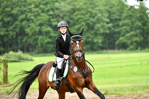 Goldene Schärpe Ponys in Löningen 2026 | 07062026 Springen 2Abt_517 