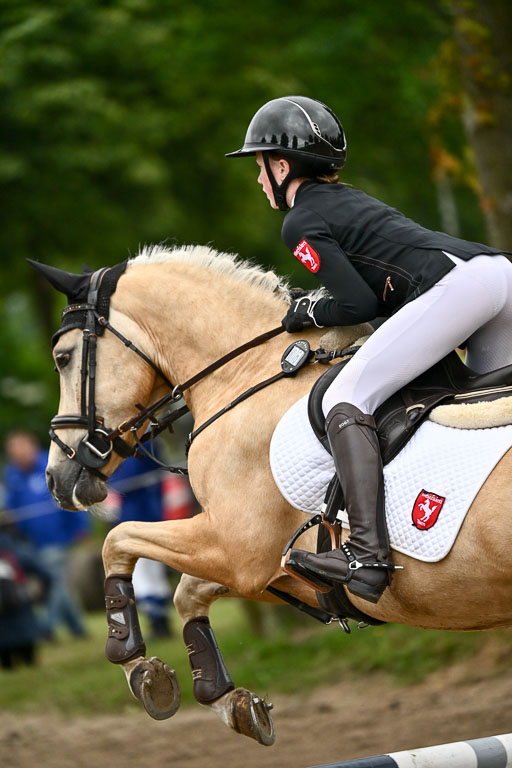 Goldene Schärpe Ponys in Löningen 2026 | 07062026 Springen 2Abt_518 