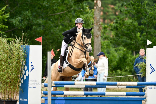 Goldene Schärpe Ponys in Löningen 2026 | 07062026 Springen 2Abt_519 