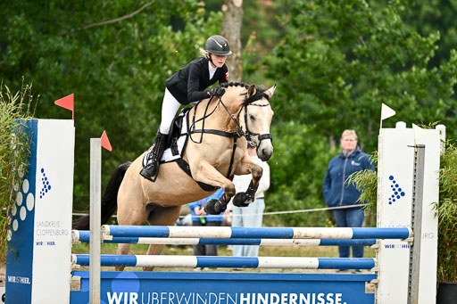 Goldene Schärpe Ponys in Löningen 2026 | 07062026 Springen 2Abt_547 
