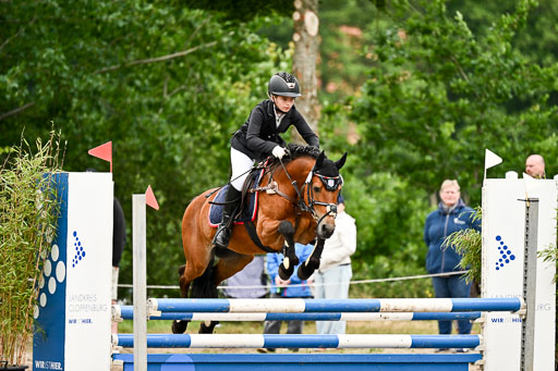 Goldene Schärpe Ponys in Löningen 2026 | 07062026 Springen 2Abt_588 