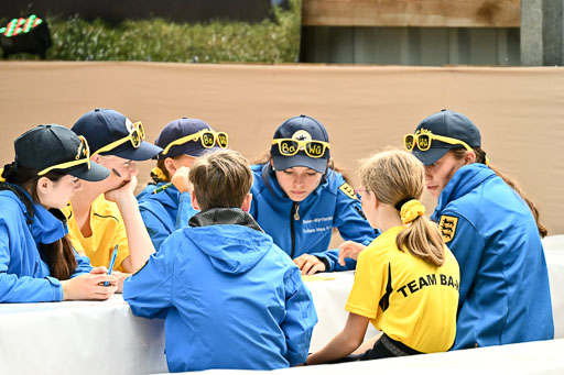 Goldene Schärpe Ponys in Löningen 2026 | 095062026 Theorie_30 