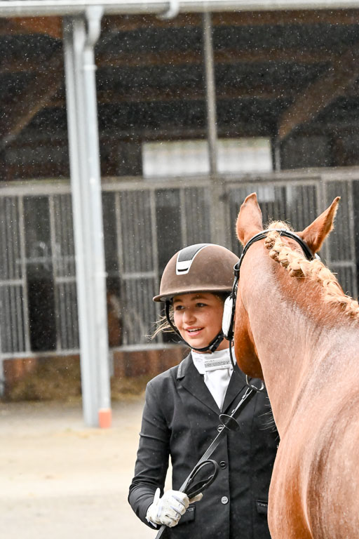 Goldene Schärpe Ponys in Löningen 2026 | 07062026 Vormustern _257 