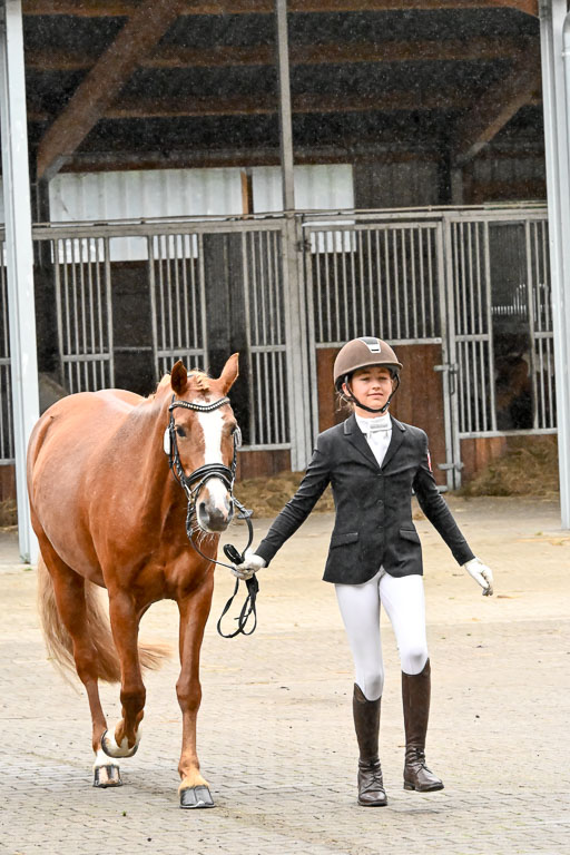 Goldene Schärpe Ponys in Löningen 2026 | 07062026 Vormustern _259 