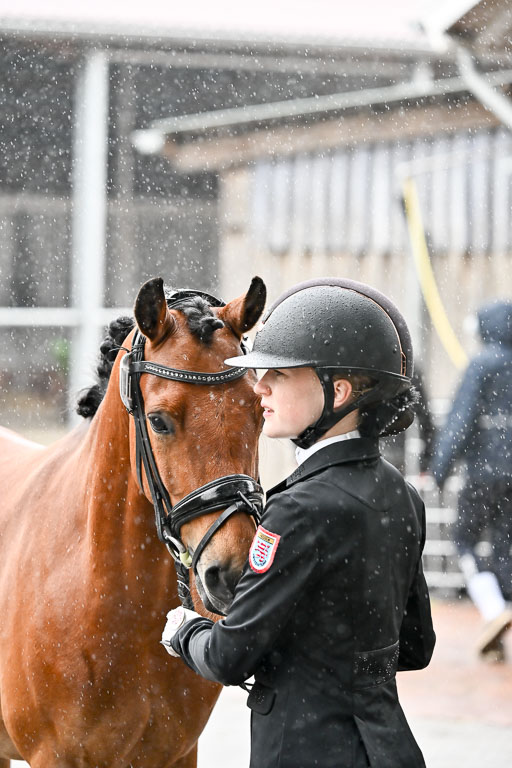 Goldene Schärpe Ponys in Löningen 2026 | 07062026 Vormustern _275 