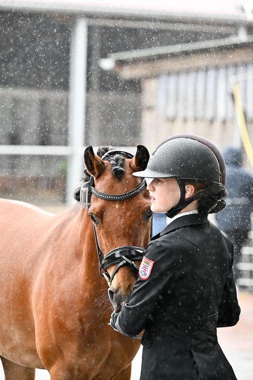 Goldene Schärpe Ponys in Löningen 2026 | 07062026 Vormustern _276 