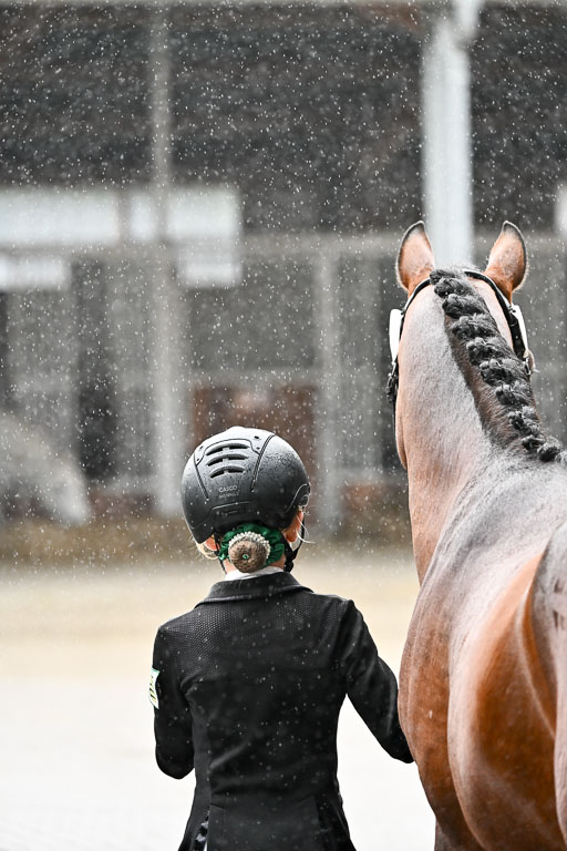 Goldene Schärpe Ponys in Löningen 2026 | 07062026 Vormustern _277 
