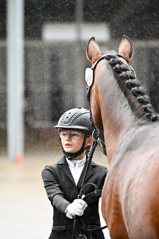 Goldene Schärpe Ponys in Löningen 2026 | 07062026 Vormustern _280 