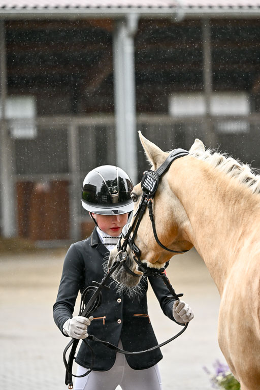 Goldene Schärpe Ponys in Löningen 2026 | 07062026 Vormustern _289 