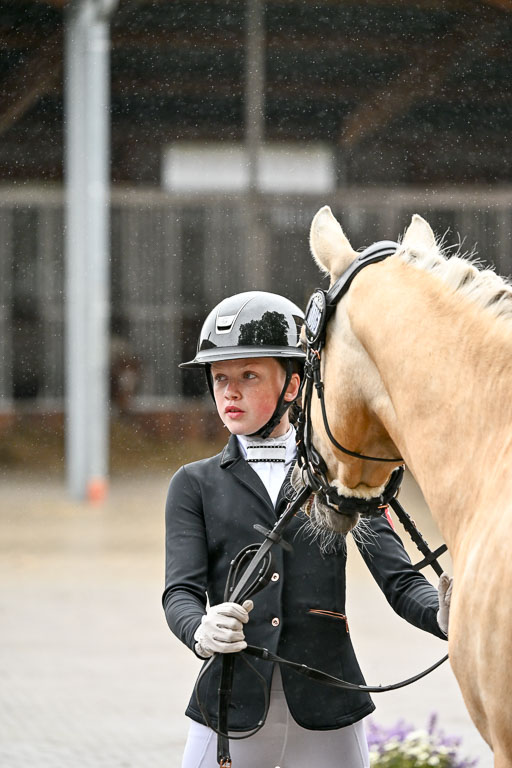 Goldene Schärpe Ponys in Löningen 2026 | 07062026 Vormustern _290 