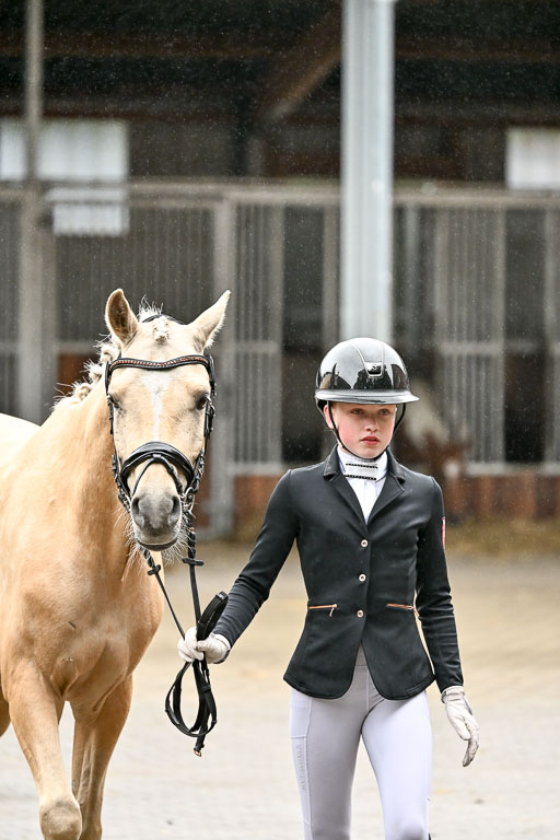 Goldene Schärpe Ponys in Löningen 2026 | 07062026 Vormustern _294 