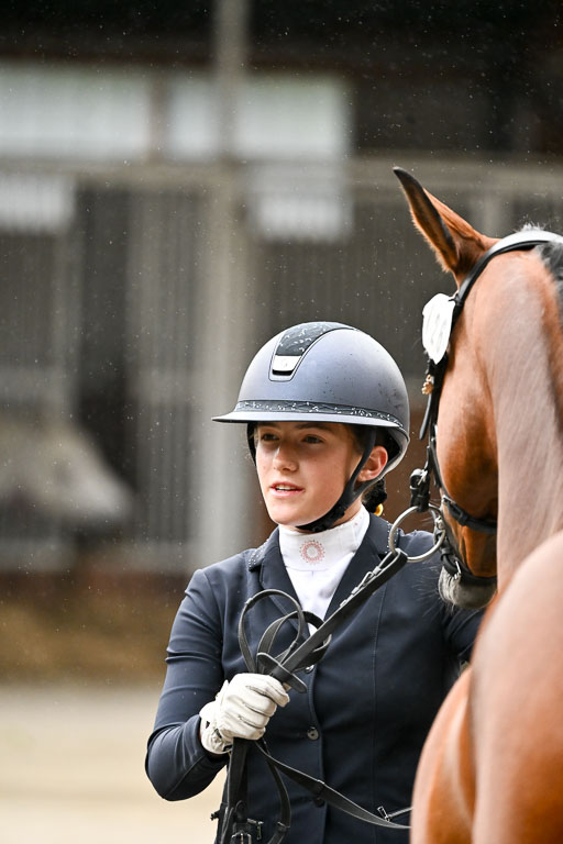 Goldene Schärpe Ponys in Löningen 2026 | 07062026 Vormustern _296 