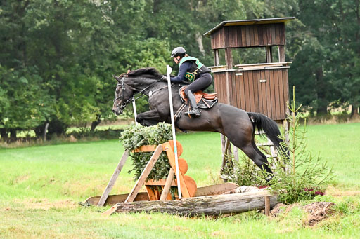 CCI*** - S