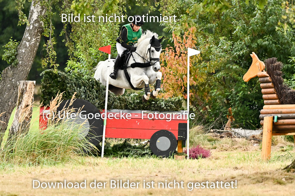 Deutsche Amateur Meisterschaft  Vielseitigkeit 2026 in Langenhagen | Laura Thomas 