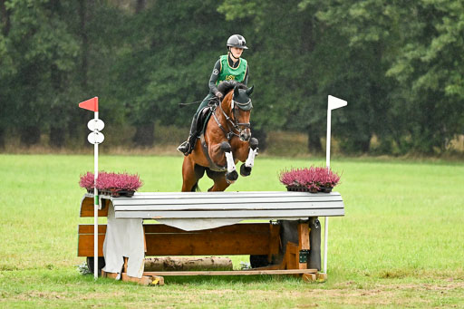Deutsche Amateur Meisterschaft  Vielseitigkeit 2026 in Langenhagen | 13092026 Intro So_003 